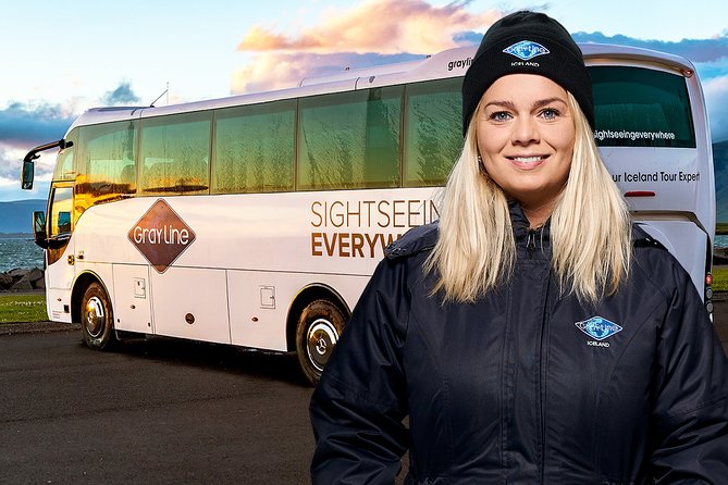 Airport Express Shared Arrival Transfer From Keflavik Airport to Reykjavik Hotels - Infant Seats