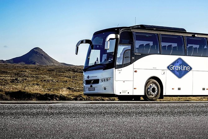 Airport Express Shared Arrival Transfer From Keflavik Airport to Reykjavik Hotels - Wheelchair Accessibility
