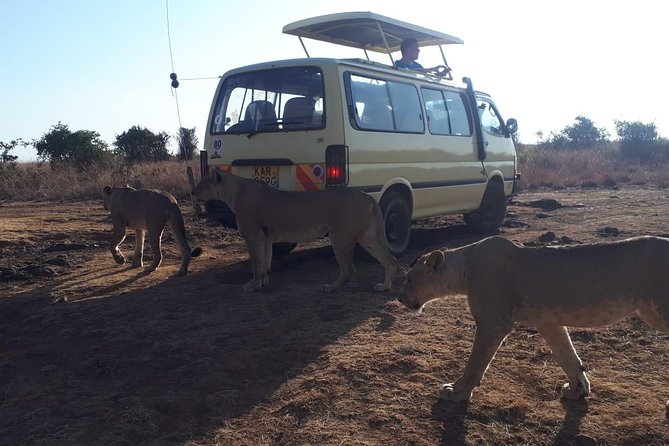 Airport Pick Up To Nairobi National Park / Drop Off - Pricing and Availability