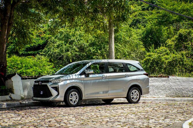 Airport Pickup in Puerto Vallarta: Private Round Trip of 22km - Accessibility and Special Needs