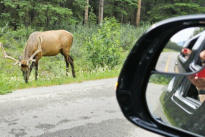 Airport Pickup & Private Tour from Calgary to The Rockies! - Meeting Points and Additional Details