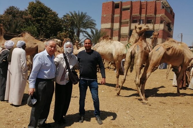 Airport Private Transfer to Your Hotel/ Nile Cruise Boat - Pricing and Payment