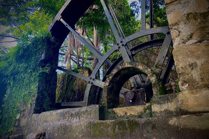 Airport Round-Trip Transfers To Negril From Sangster's International Airport - Customer Reviews