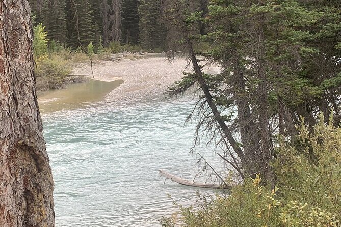Airport Shuttle: Lake Louise <---> Calgary - Cancellation Policy