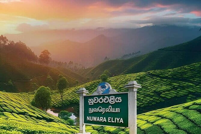 Airport Taxi Transfers from Colombo Airport to Hiriketiya - Who Should Book This Transfer?