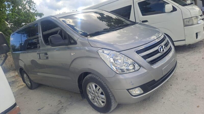 Airport Tranfer La Rromana To Bayahibe & Punta Cana - Transportation Features
