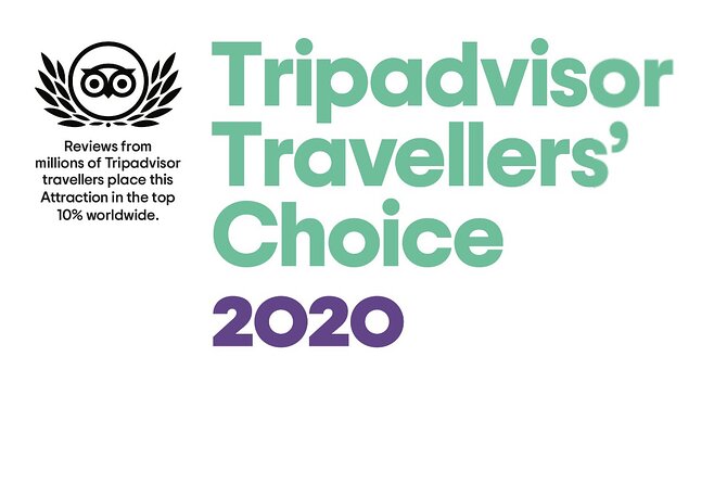 Airport Transfer - Accessibility and Participation