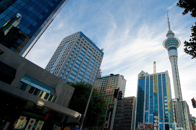Airport Transfer: Auckland Airport AKL to Auckland by Sedan Car - Commitment to Excellence