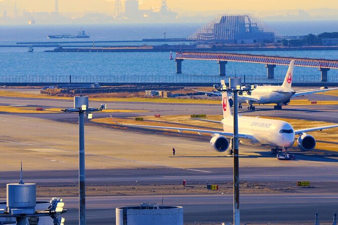 Airport Transfer Between Narita and Mount Fuji or Hakone Onsen - Accessibility Features