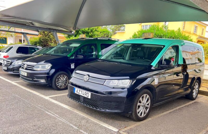 Airport Transfer From Monte Gordo to Seville - Company Background