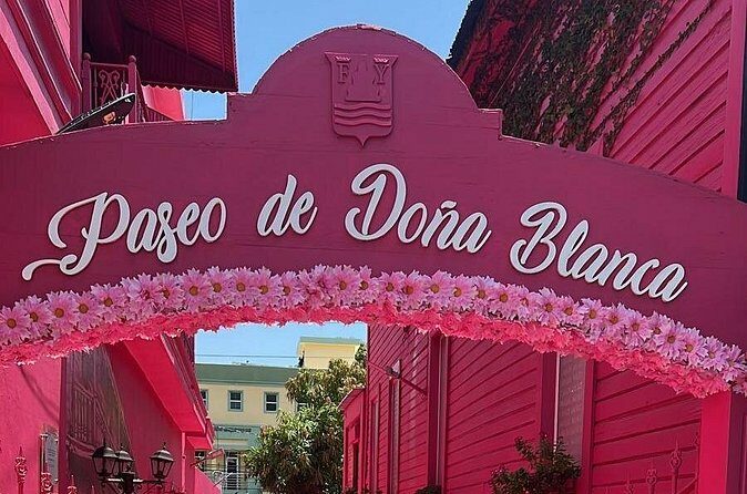 Airport Transfer From Santiago to Puerto Plata one way - Final Thoughts