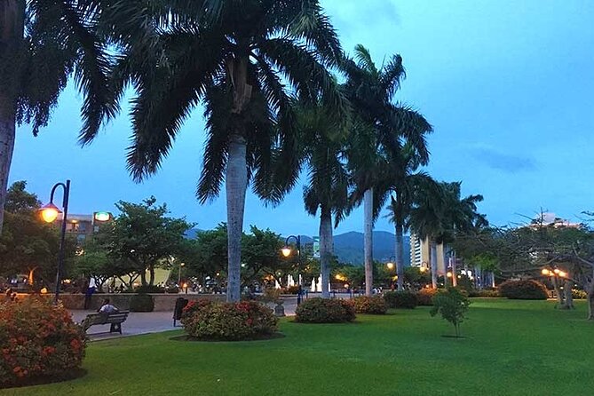 Airport Transfer in Kingston - Vehicle and Amenities