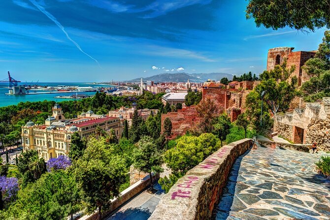 Airport Transfer: Malaga Airport AGP to Malaga by Luxury Van - Pickup and Drop-off Details