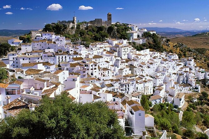 Airport Transfer: Malaga Airport AGP to Malaga by Luxury Van - Accessibility and Participation