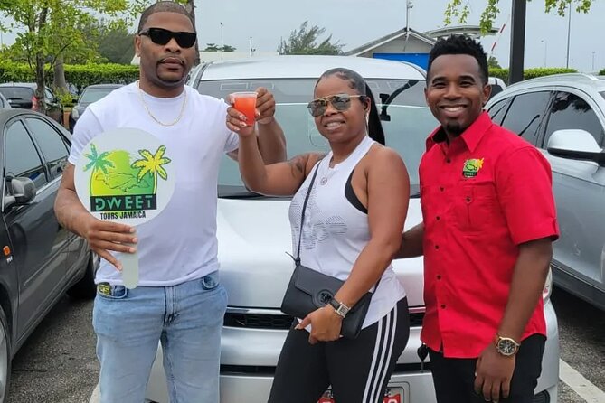 Airport Transfer Montego Bay: Riu Montego / Reggae / Palace - Additional Tour Details