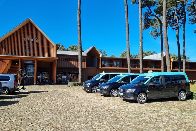 Airport Transfer Porto to Viana Do Castelo - Accessibility Features