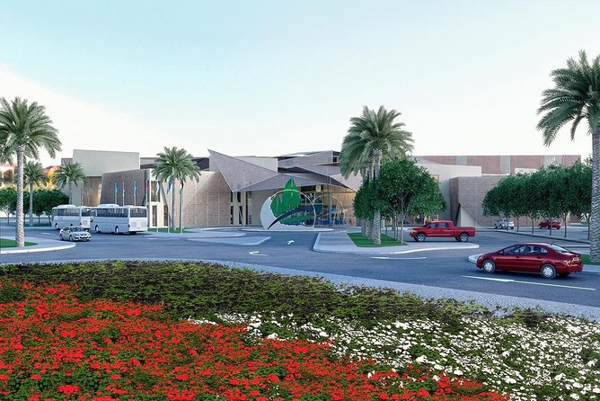 Airport Transfer To Dead Sea Hotel - Repeat Customer Recommendations