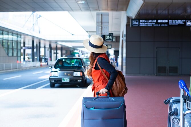 Airport Transfer to Hotels in Punta Cana - Accessibility and Participation