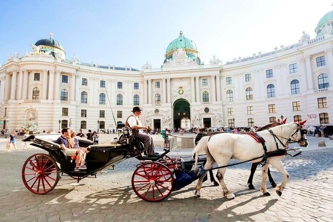 Airport Transfer: Vienna to Vienna Airport VIE by Luxury Car - Booking Information