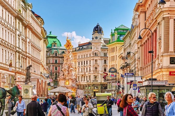 Airport Transfer: Vienna to Vienna Airport VIE by Luxury Car - Luxury Vehicle Options
