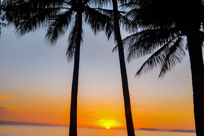 Airport Transfers Between Cairns Airport and Cairns City - Friendly and Helpful Drivers