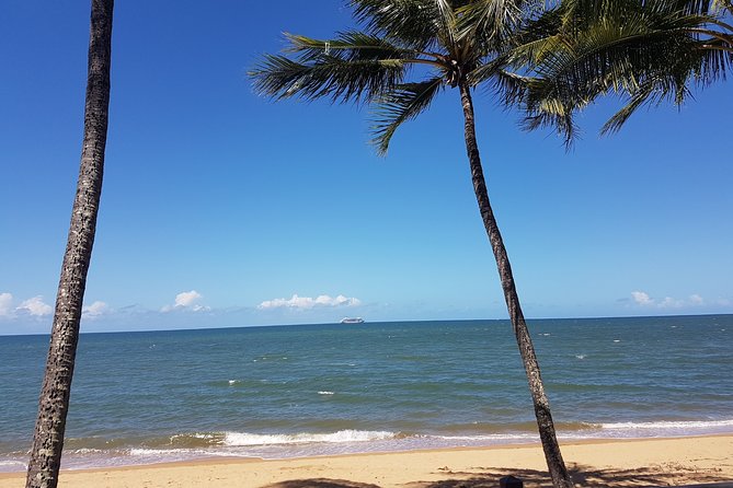 Airport Transfers Between Cairns Airport and Palm Cove - Customer Support