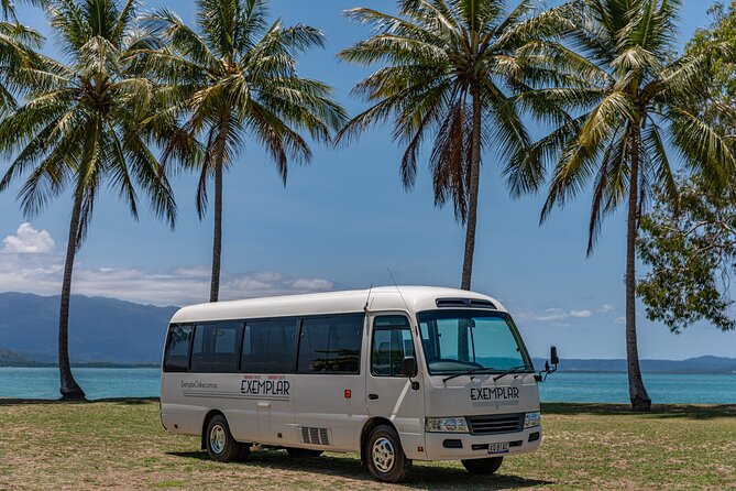 Airport Transfers Between Cairns Airport and Port Douglas - Scheduled Operating Hours