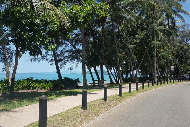 Airport Transfers Between Cairns Airport and Port Douglas - Reviews and Accessibility Information
