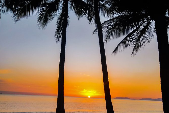 Airport Transfers Between Cairns Airport and Port Douglas - Traveler Capacity and Size
