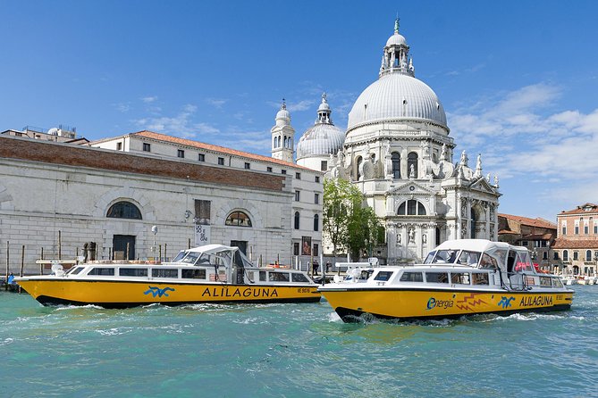 Airport - Venice Waterbus Ticket - Accessibility and Traveler Considerations