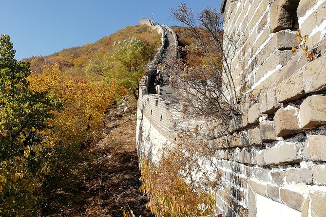 Airport(PEK) Pickup+Mutianyu Great Wall+PEK Drop - Visitor Experiences