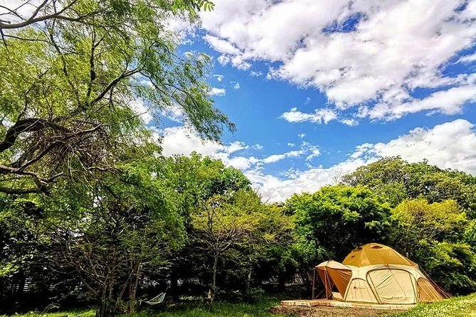 Airstream Sauna Plan With Private Lodging Available in Hakodate - Booking and Availability