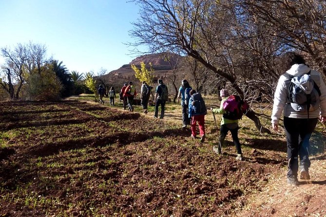 Ait-Ben-Haddou - City Tour - Booking and Cancellation
