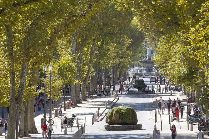 Aix En Provence and Wine Tasting Private Full Day Tour - Experience the Region