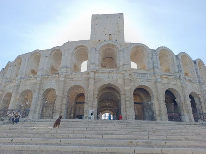 Aix-en-Provence: Arles & Camargue National Park Private Tour - Discovering Camargue