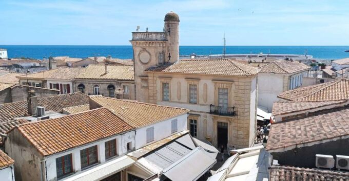 Aix-en-Provence: Arles & Camargue National Park Private Tour - Following Van Gogh
