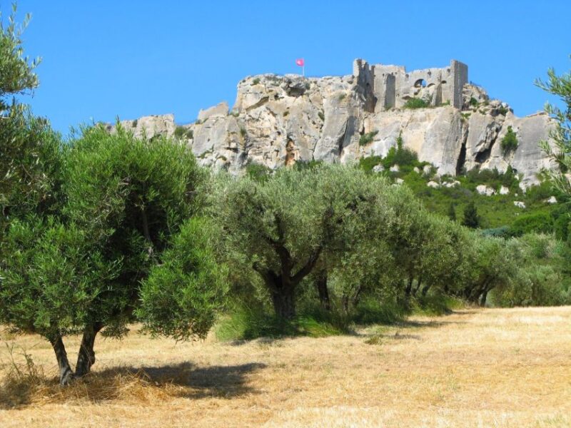 Aix-en-Provence: Arles, Saint-Rémy, and Les Baux Day Trip - Exploring Historic Arles