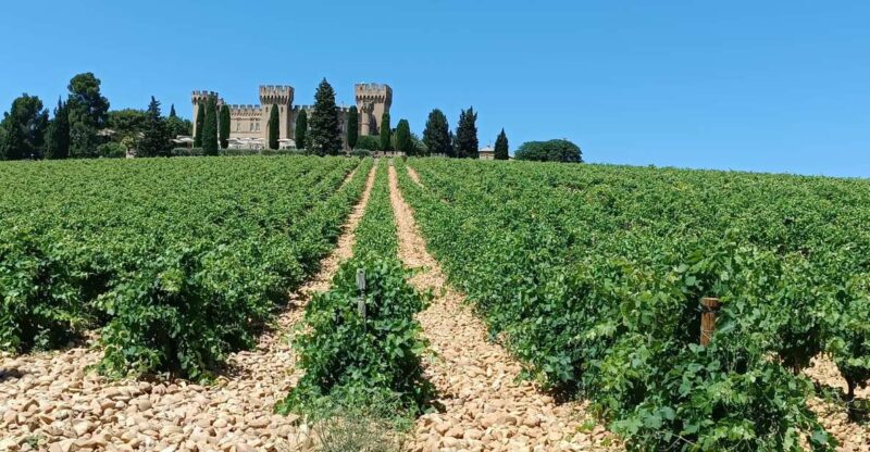 Aix-en-Provence: Avignon Tour & Chateauneuf-du-Pape Tasting - Exploring the Les Halles Market