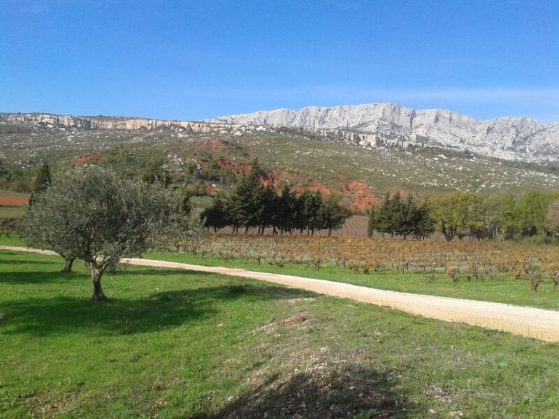 Aix-en-Provence City Tour & Wine Tour - Aix-en-Provence City Highlights