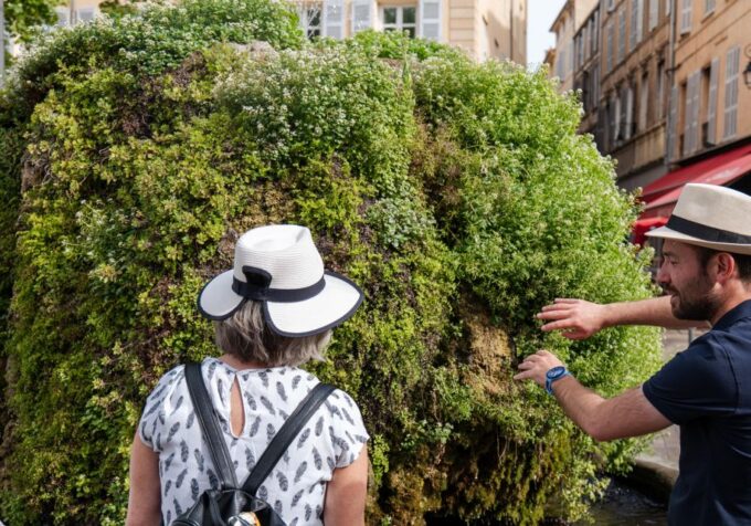 Aix-en-Provence City Tour & Wine Tour - Local Flavors and Wines