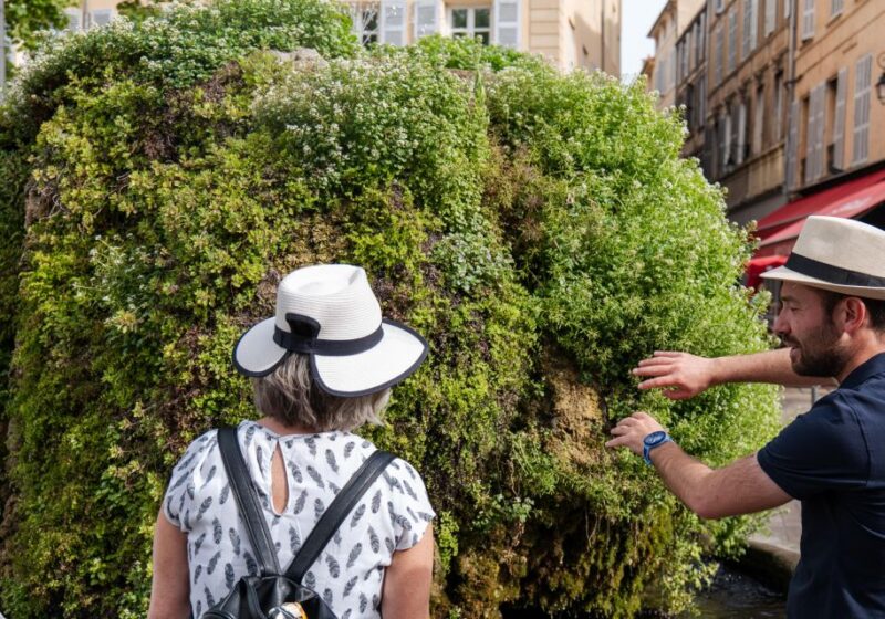 Aix-en-Provence City Tour With Wine and Cheese - Duration and Language Options