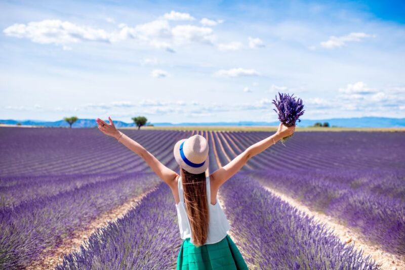 Aix-en-Provence: Day Trip to the Valensole Lavender Fields - Transportation and Accessibility