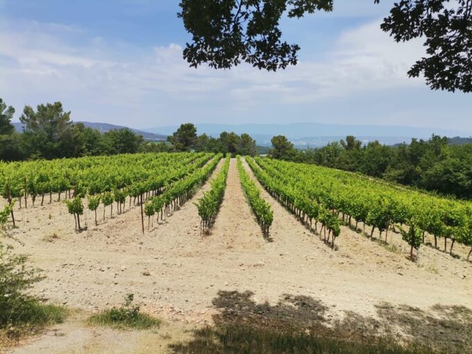 Aix En Provence: Discovery of Prestigeous Wineries and Art - Frequently Asked Questions