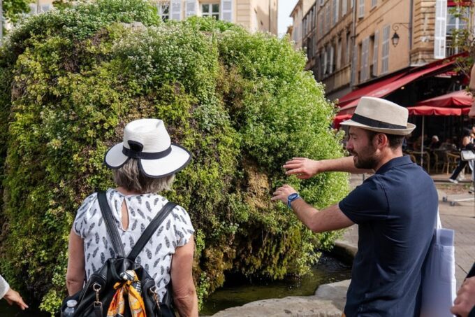 Aix En Provence Food & City Tour Half Day Tour - Navigating the Tour
