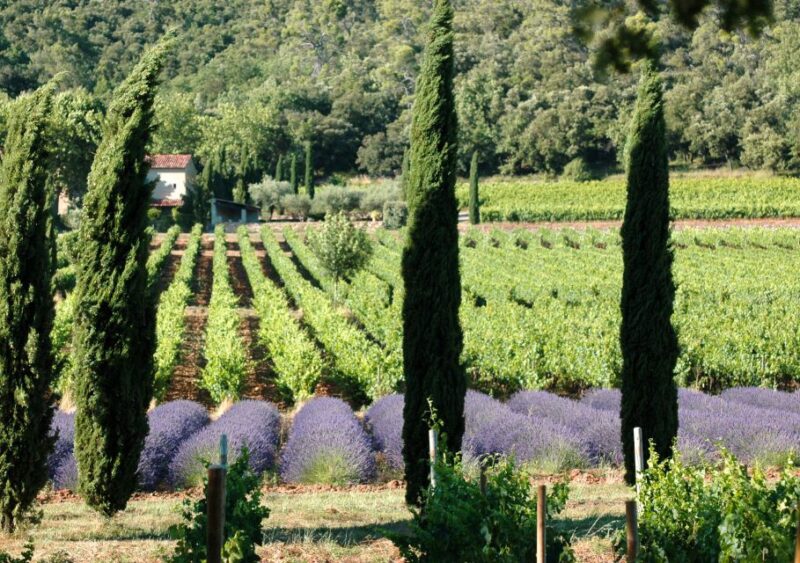 Aix-En-Provence: Full Day Private Tour With Wine Tasting - Transportation and Pickup Details