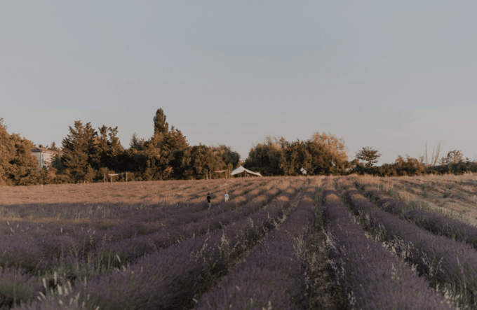 Aix-en-Provence: Lavender Fields Visit - Frequently Asked Questions