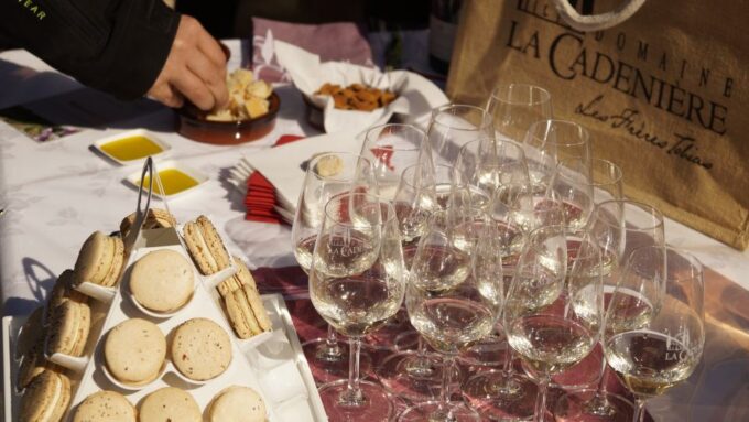 Aix-en-Provence: Medieval Village, Art, and Vineyards - Savor the Renowned Provence Wines