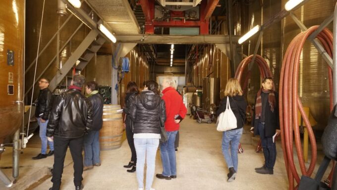 Aix-en-Provence: Medieval Village, Art, and Vineyards - Comfortable Transportation and Logistics