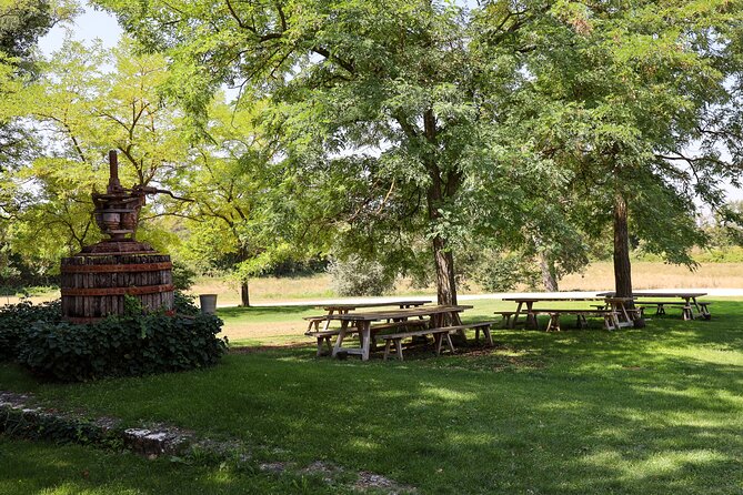 Aix-En-Provence Old Town, Wine & Art of Châteaux Beaupré & Bonisson Private Tour - Wine Tasting at Local Vineyards