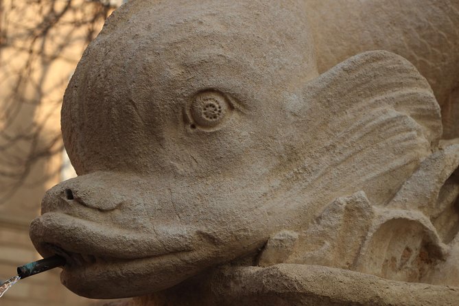 Aix-En-Provence Private Tour | Fountains & Gardens - Accessibility and Participation